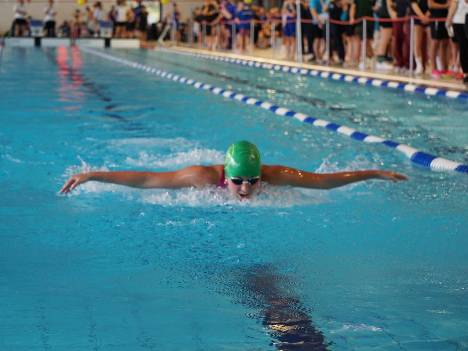 9. Int. NEW Langstreckenmeeting72a7847b-2535-4424-839f-d6a7a60bd344