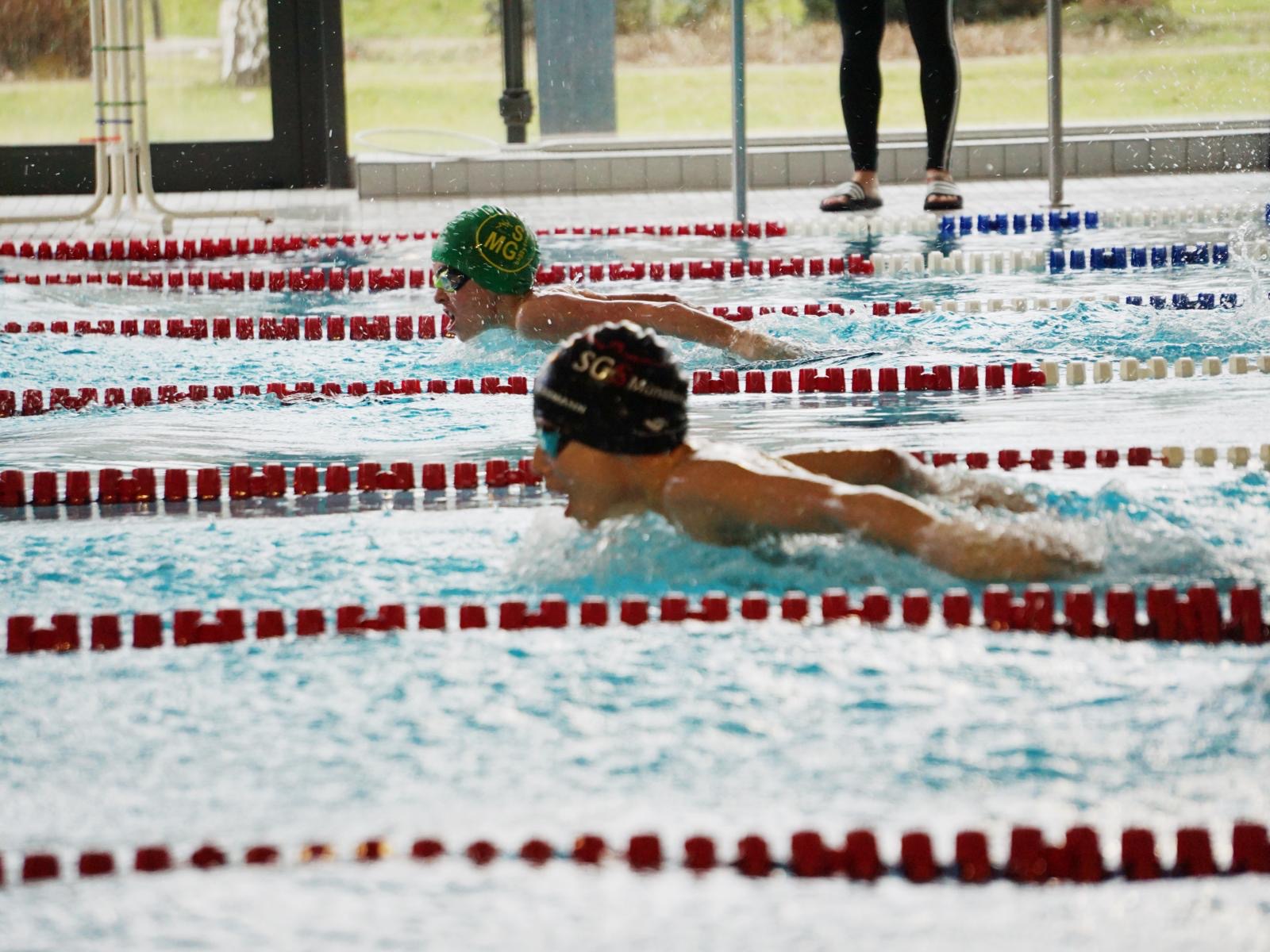 9. Int. NEW Langstreckenmeetinga0226e4b-20c6-4ed7-8bf3-5ddf1122f08d